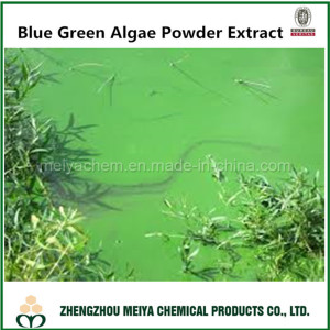 Healthy Nutritional Blue Green Algae Powder Extract for Lowering Blood Pressure