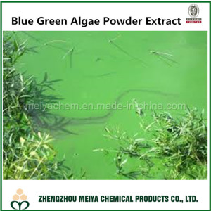 Healthy Nutritional Blue Green Algae Powder Extract for Lowering Blood Pressure